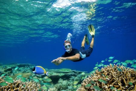 Hula Hula Schnorchelausflug Hurghada