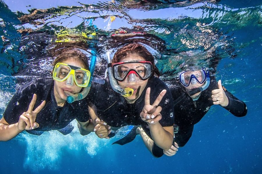 Abu Dabbab Bucht – Schwimmen mit Schildkröten & Dugong