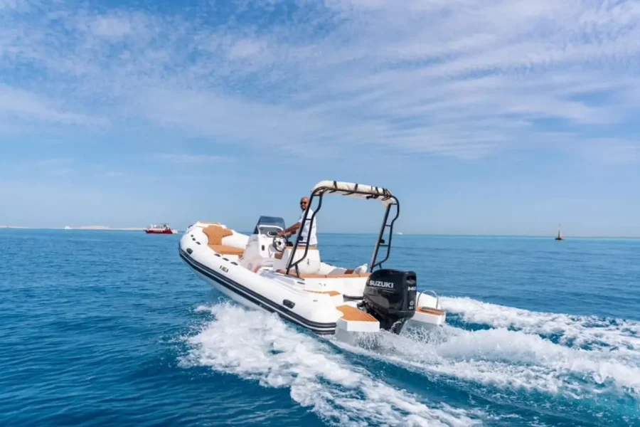 Privater Delfin Ausflug mit Speedboot
